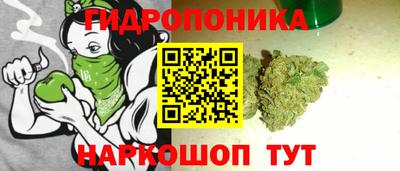 ALPHA PVP Малгобек