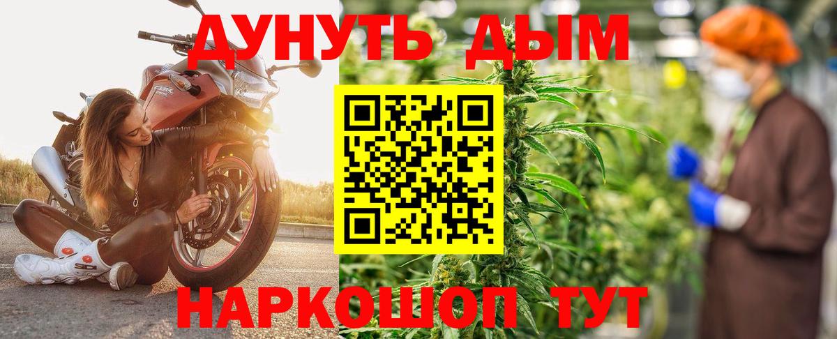 Бошки марихуана конопля Губкин